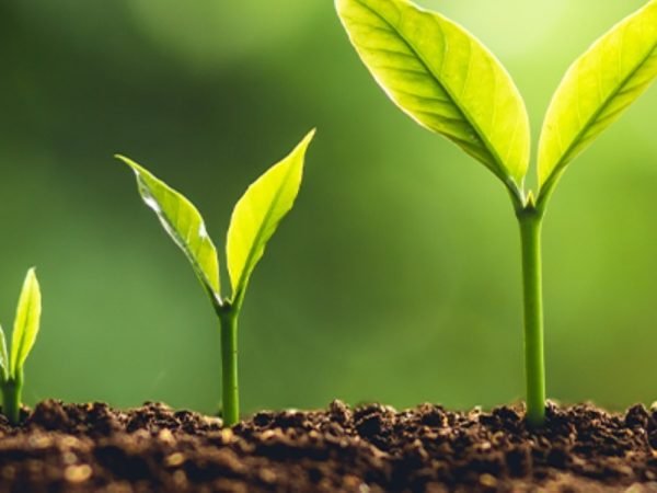 WhatsApp Image 2024-02-11 at 19.48.38_59073b44