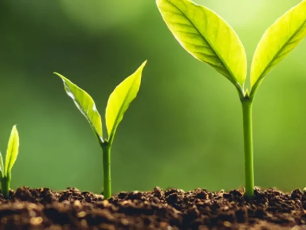 WhatsApp Image 2024-02-11 at 19.48.38_59073b44